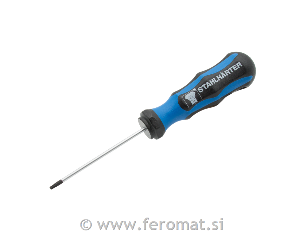 Torx izvijač T10