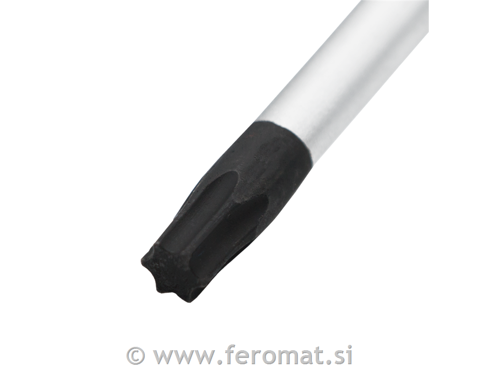 Torx izvijač T10